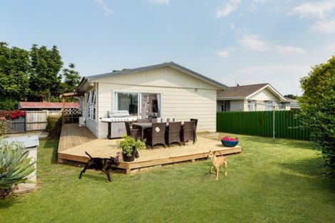 Photo of property in 88a/1 Ohauiti Road, Hairini, Tauranga, 3112