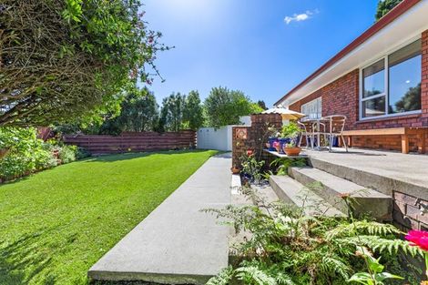 Photo of property in 17 Scanlen Terrace, Kelston, Auckland, 0602