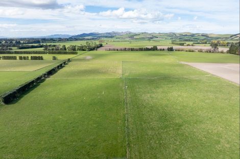 Photo of property in 128 Horsley Down Road, Hawarden, 7385