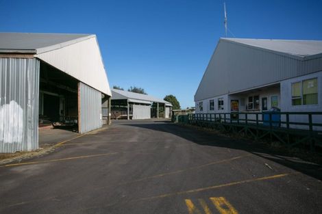 Photo of property in 90 Princes Street, Cambridge, 3434