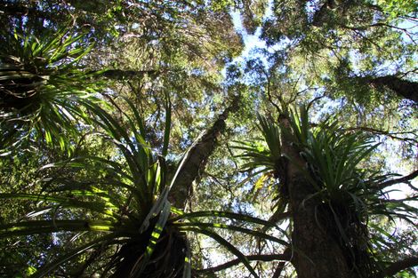 Photo of property in 42b Dutton Road, Peria, Kaitaia, 0482
