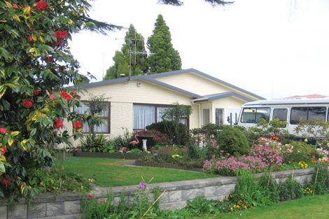 Photo of property in 25 Ngahere Street, Otumoetai, Tauranga, 3110