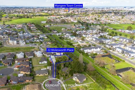 Photo of property in 22 Molesworth Place, Mangere, Auckland, 2022