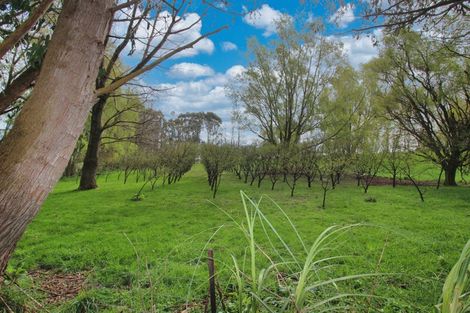 Photo of property in 516 Edendale Seaward Downs Road, Edendale, Wyndham, 9893