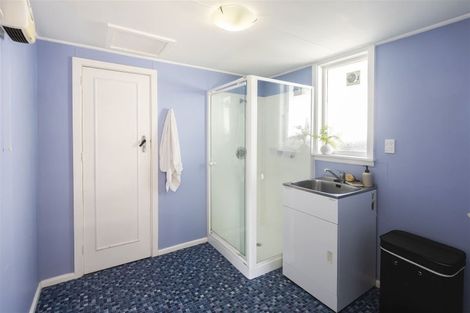 Photo of property in 119 Chapter Street, St Albans, Christchurch, 8052