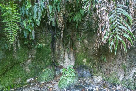 Photo of property in 741 Hingarae Road, Tihoi, Turangi, 3381