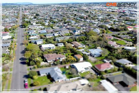 Photo of property in 89a Queenwood Road, Levin, 5510