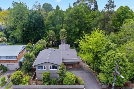 Photo of property in 51 Crosby Road, Chartwell, Hamilton, 3210