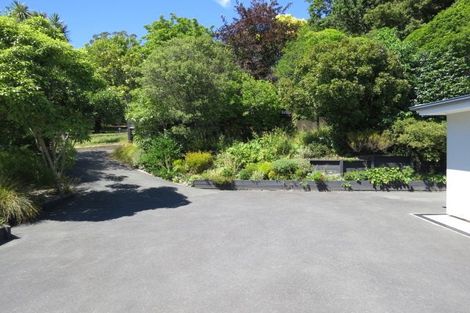 Photo of property in 386 Trafalgar Street, Nelson, 7010