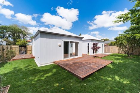 Photo of property in 42c Batt Street, West End, Palmerston North, 4410