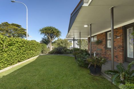 Photo of property in 264 Maungatapu Road, Maungatapu, Tauranga, 3112