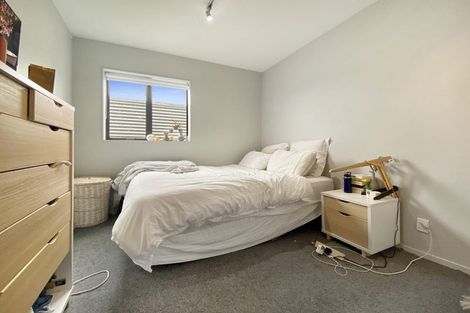 Photo of property in Detroit Apartments, 307/181u Tasman Street, Mount Cook, Wellington, 6021