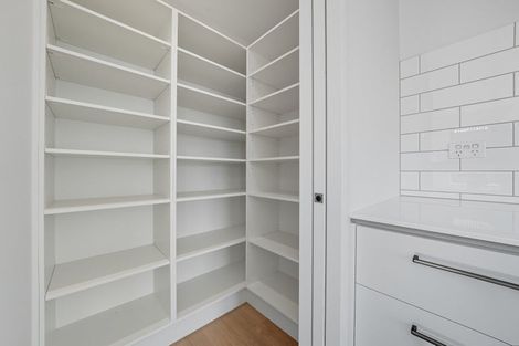 Photo of property in 17 Rita Angus Road, Belfast, 8051