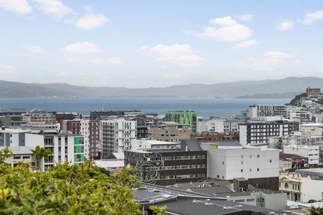 Photo of property in 53 Thompson Street, Mount Cook, Wellington, 6011