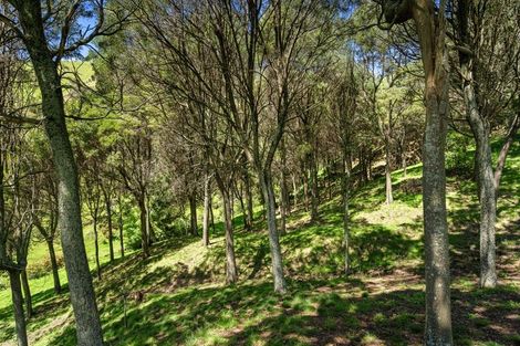 Photo of property in 231 Aniseed Valley Road, Aniseed Valley, Richmond, 7081