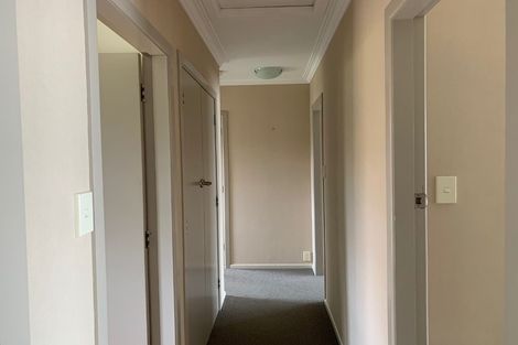 Photo of property in 23 Essex Street, Levin, 5510