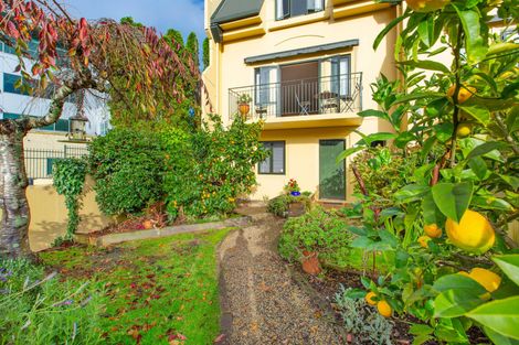 Photo of property in 118 Grantham Street, Hamilton Central, Hamilton, 3204