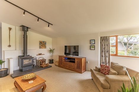 Photo of property in 90 Mount Herbert Road, Waipukurau, 4200
