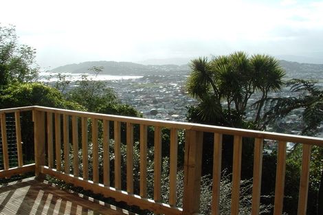 Photo of property in 115 Hornsey Road, Melrose, Wellington, 6023