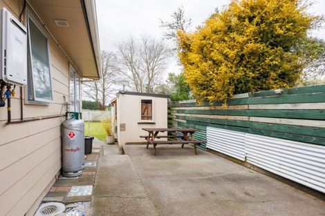 Photo of property in 47 Tutaenui Road, Marton, 4710