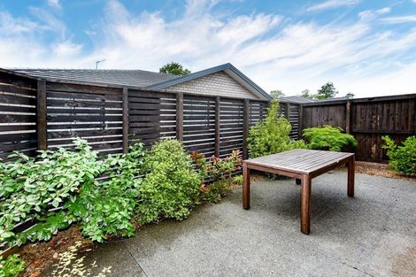 Photo of property in 51b Grafton Street, Waltham, Christchurch, 8011