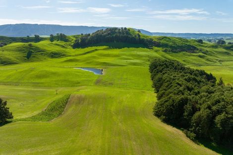 Photo of property in 385 Whirinaki Valley Road, Ngakuru, Rotorua, 3077