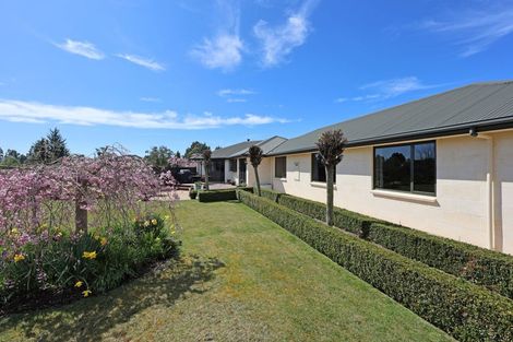 Photo of property in 331 Homestead Road, Weston, Oamaru, 9491