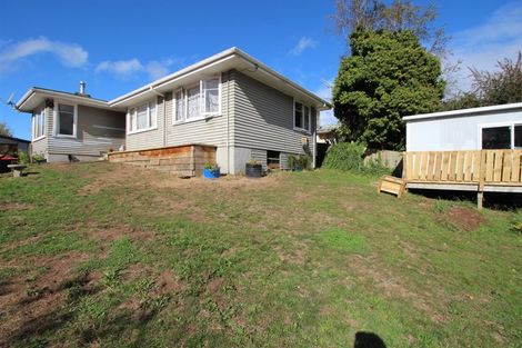 Photo of property in 19 Park Avenue, Tokoroa, 3420