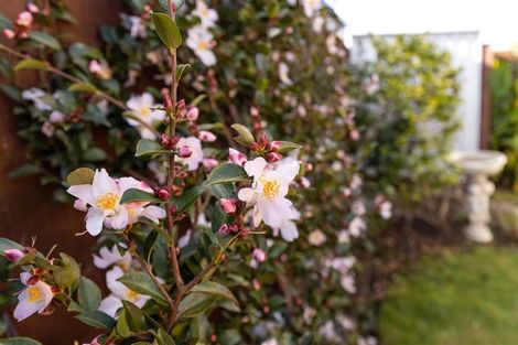 Photo of property in 2 Korari Grove, Redwoodtown, Blenheim, 7201