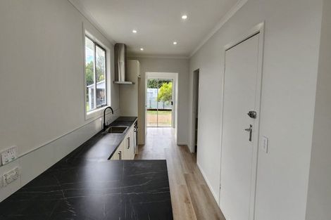 Photo of property in 14 Brecon Road, Stratford, 4332