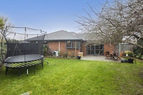 Photo of property in 58 Hewitts Road, Woodend, 7610