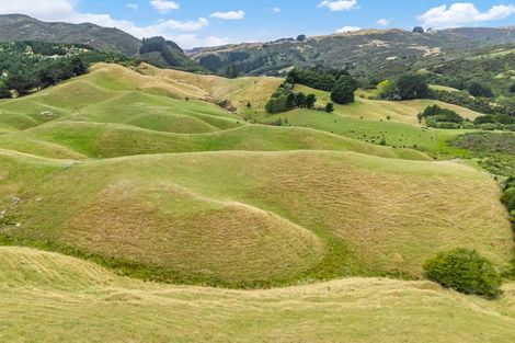 Photo of property in 142a Mulhern Road, Judgeford, Porirua, 5381