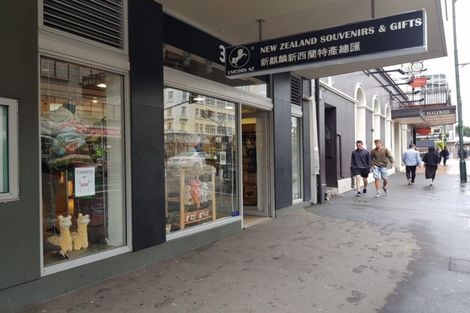 Photo of property in Bellagio Apartments, 39 Taranaki Street, Te Aro, Wellington, 6011