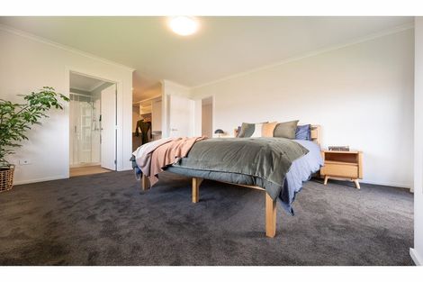 Photo of property in 3 Feltham Street, Richmond, 7020