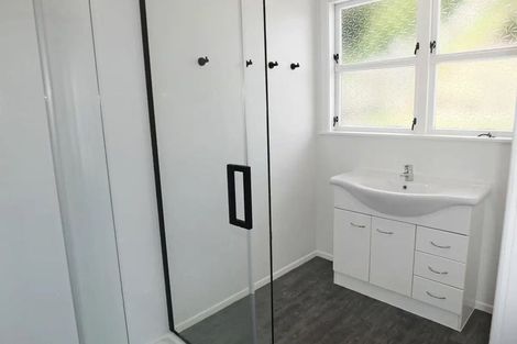 Photo of property in 49 Park Street, Foxton, 4814