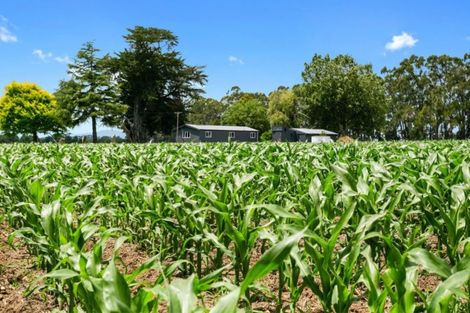 Photo of property in 127 Norrish Road, Ohaupo, 3881