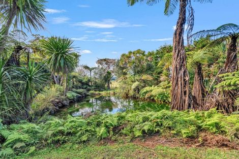 Photo of property in 245 Taurangaruru Road, Karioitahi, Waiuku, 2683