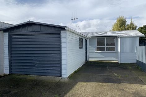 Photo of property in 51 Morgan Crescent, Levin, 5510