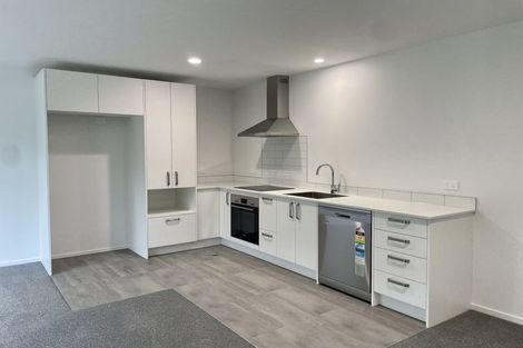 Photo of property in 155u2 Rimu Street, Maeroa, Hamilton, 3200