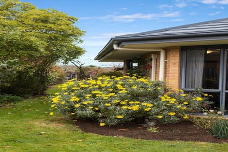 Photo of property in 145 Chinnerys Road, Woodend, 7610
