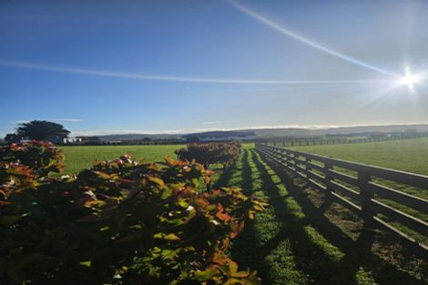 Photo of property in 4 Whare Roto Drive, Waipukurau, 4282