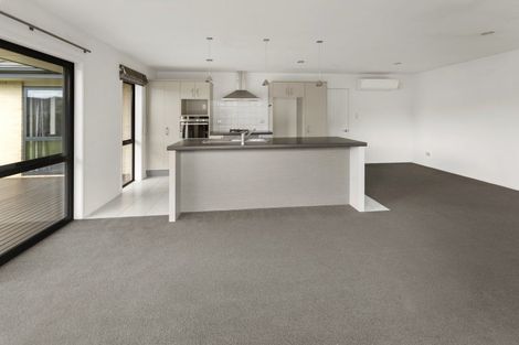 Photo of property in 15 Taranaki Place, Richmond, 7020