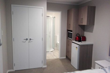 Photo of property in 42a Beatty Street, Melville, Hamilton, 3206