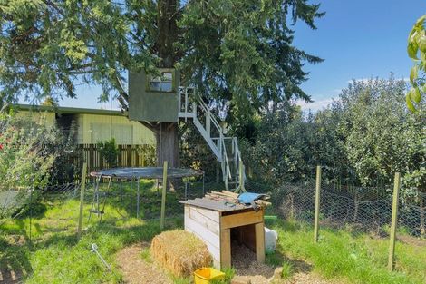 Photo of property in 11 Miro Street, Matamata, 3400