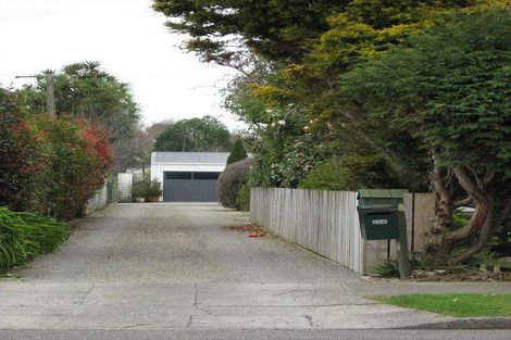 Photo of property in 29a Roosevelt Street, Levin, 5510