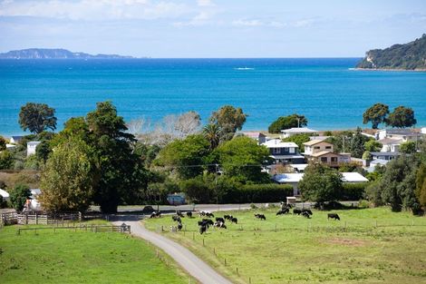 Photo of property in 925a Purangi Road, Cooks Beach, Whitianga, 3591
