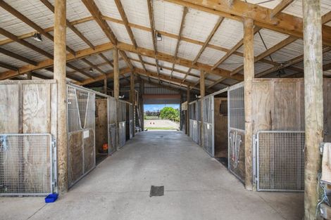 Photo of property in 47 Saddleton Road, Waiau Pa, Pukekohe, 2679