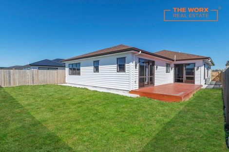 Photo of property in 55 Clarks Beach Road, Clarks Beach, 2122