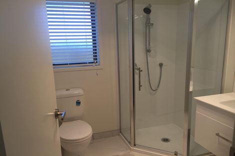 Photo of property in 18 Ruru Street, Cambridge, 3434