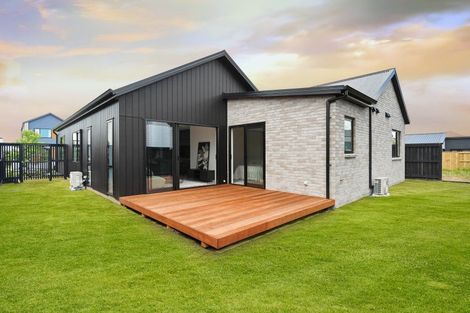 Photo of property in 19 Gaylard Avenue, Chartwell, 3210